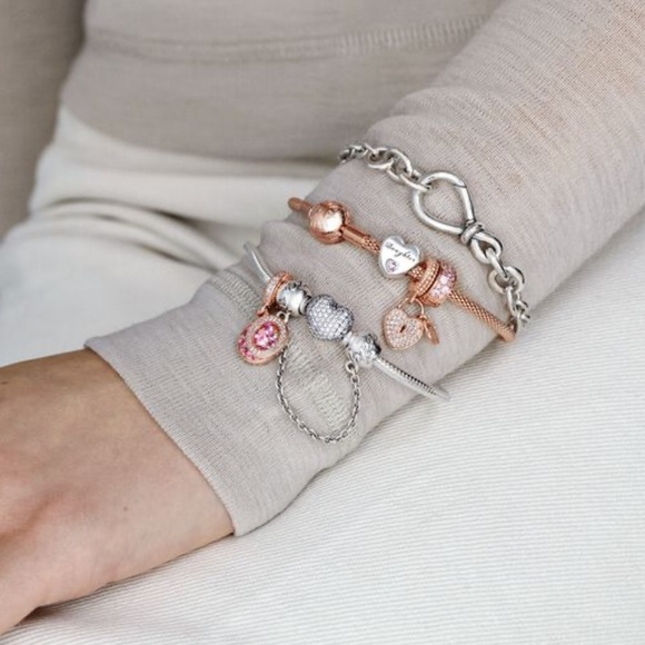 NWOT Pandora Moments Mesh Bracelet in Rose Gold with Charms and Cleaning Kit - Picture 11 of 11